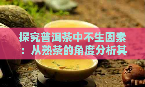 探究普洱茶中不生因素：从熟茶的角度分析其原因