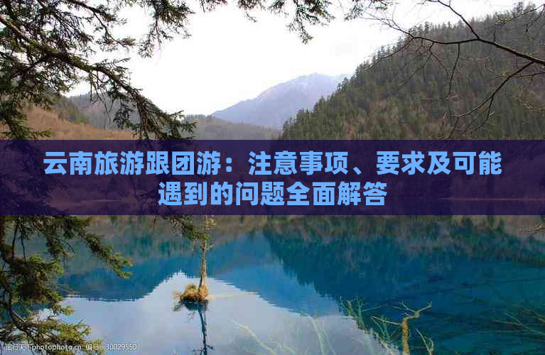 云南旅游跟团游：注意事项、要求及可能遇到的问题全面解答