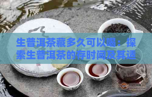 生普洱茶藏多久可以喝：探索生普洱茶的存时间及其适宜饮用周期