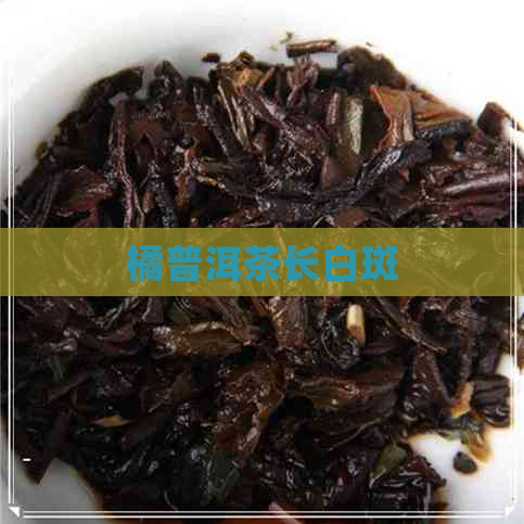 橘普洱茶长白斑