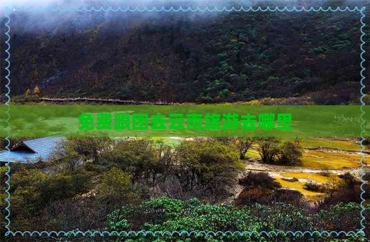 免费跟团去云南旅游去哪里