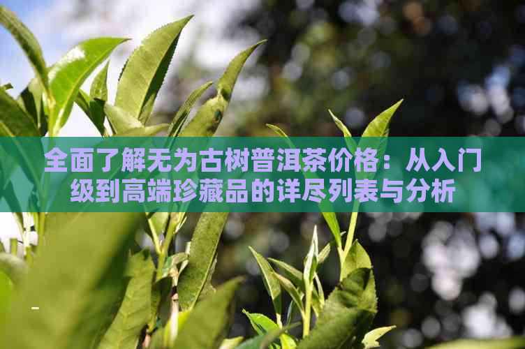 全面了解无为古树普洱茶价格：从入门级到高端珍藏品的详尽列表与分析