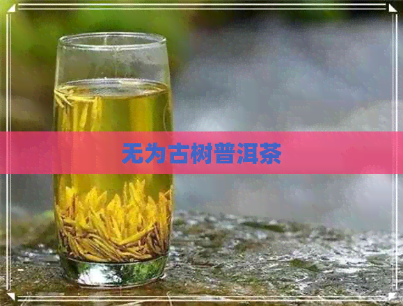 无为古树普洱茶