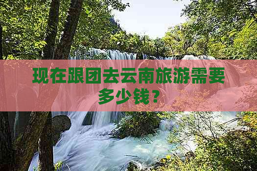 现在跟团去云南旅游需要多少钱？