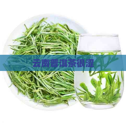 云南普洱茶很涩