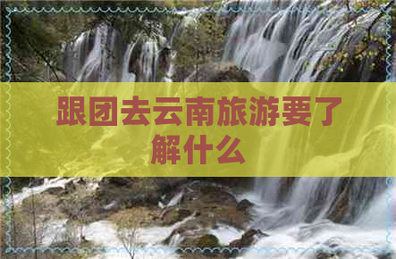 跟团去云南旅游要了解什么