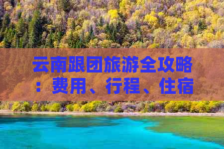 云南跟团旅游全攻略：费用、行程、住宿、景点一应俱全，让您的旅行更省心！