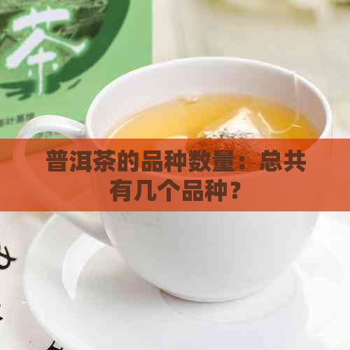 普洱茶的品种数量：总共有几个品种？