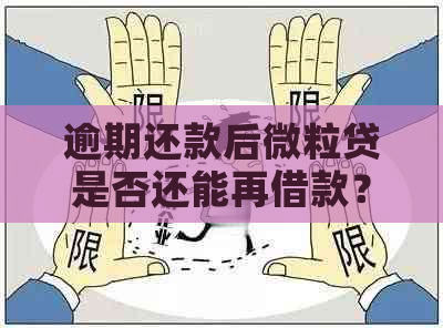 逾期还款后微粒贷是否还能再借款？解答你关心的所有问题