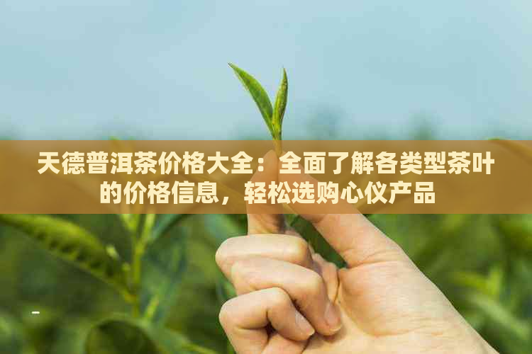 天德普洱茶价格大全：全面了解各类型茶叶的价格信息，轻松选购心仪产品