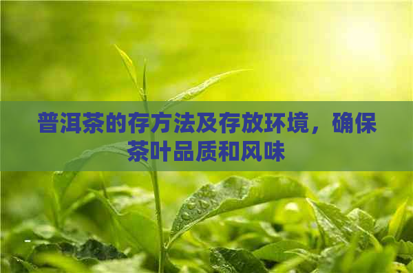 普洱茶的存方法及存放环境，确保茶叶品质和风味