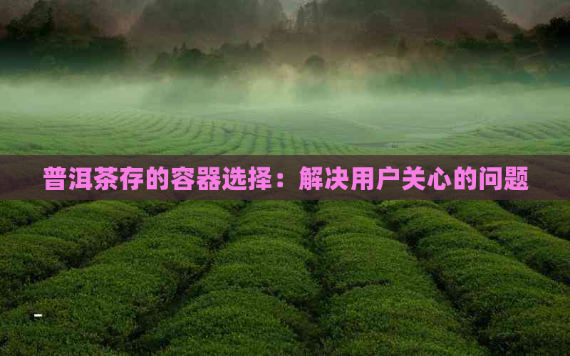 普洱茶存的容器选择：解决用户关心的问题