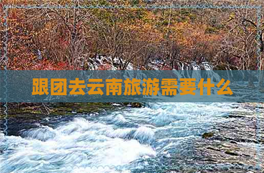 跟团去云南旅游需要什么