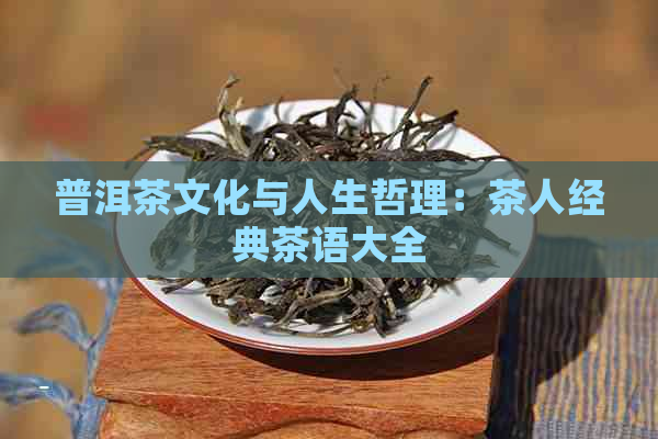 普洱茶文化与人生哲理：茶人经典茶语大全