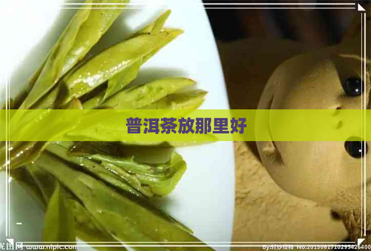 普洱茶放那里好