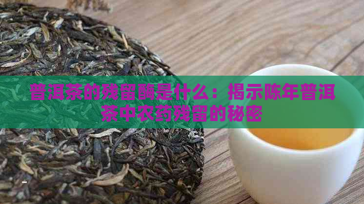 普洱茶的残留酶是什么：揭示陈年普洱茶中农药残留的秘密