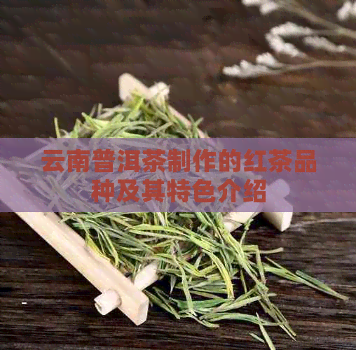 云南普洱茶制作的红茶品种及其特色介绍