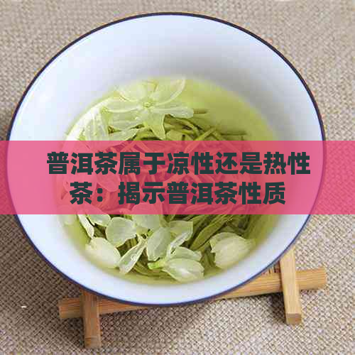 普洱茶属于凉性还是热性茶：揭示普洱茶性质