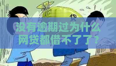 没有逾期过为什么网贷都借不了了？怎么办？怎么回事？