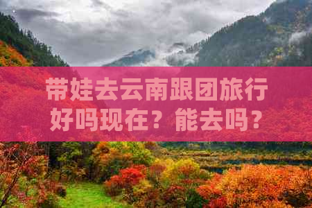 带娃去云南跟团旅行好吗现在？能去吗？