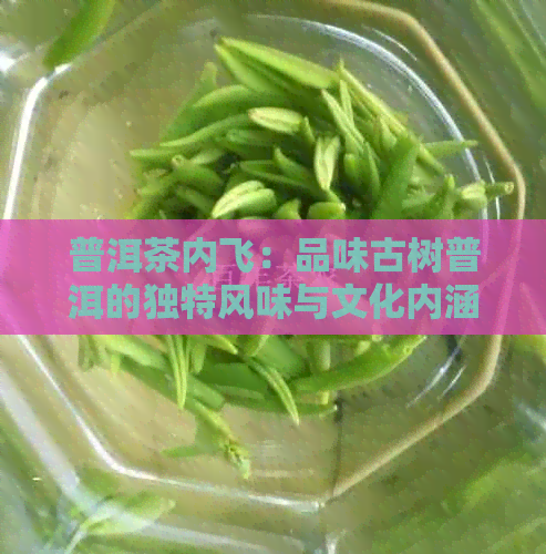 普洱茶内飞：品味古树普洱的独特风味与文化内涵