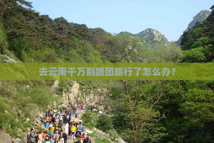 去云南千万别跟团旅行了怎么办？