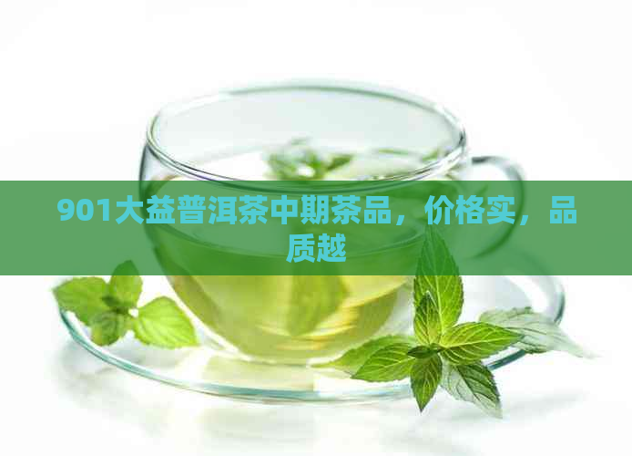 901大益普洱茶中期茶品，价格实，品质越