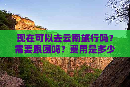 现在可以去云南旅行吗？需要跟团吗？费用是多少？