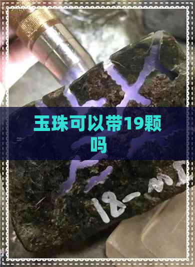 玉珠可以带19颗吗