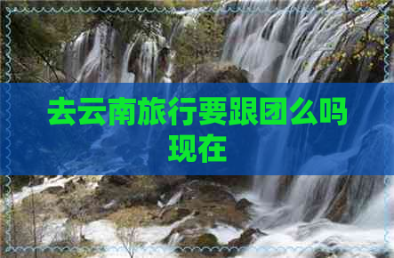 去云南旅行要跟团么吗现在