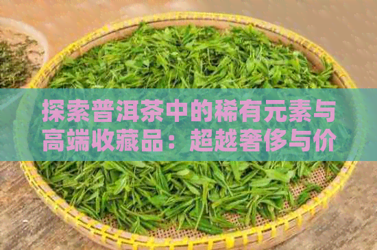 探索普洱茶中的稀有元素与高端收藏品：超越奢侈与价格的茶文化之旅