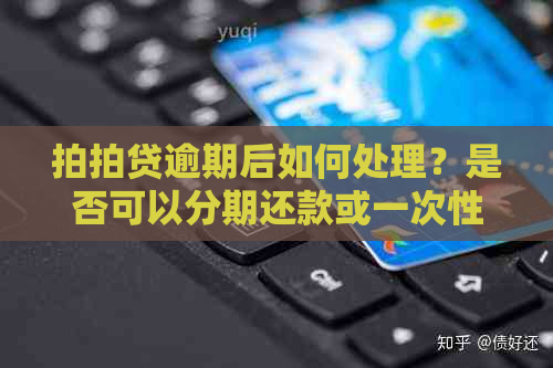 逾期后如何处理？是否可以分期还款或一次性还清全款？解答用户的疑惑