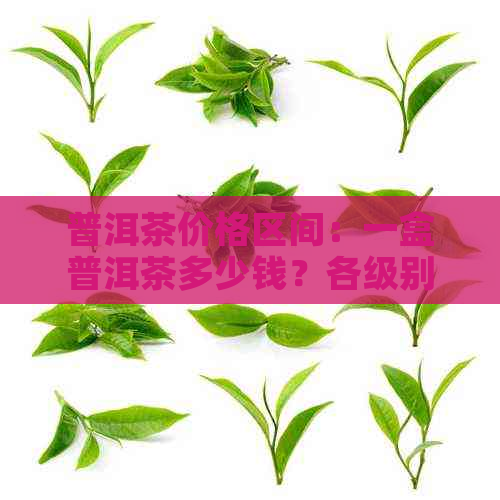 普洱茶价格区间：一盒普洱茶多少钱？各级别普洱茶价位全面解析