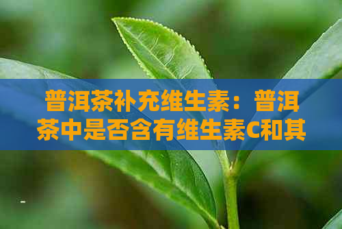 普洱茶补充维生素：普洱茶中是否含有维生素C和其他营养物质？