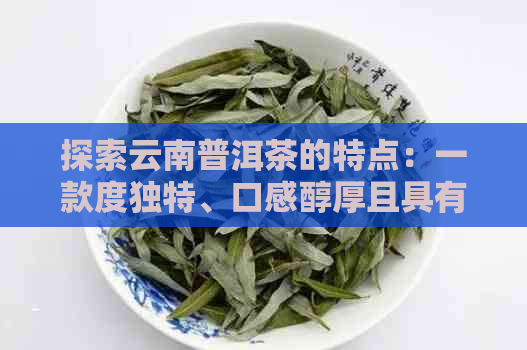 探索云南普洱茶的特点：一款度独特、口感醇厚且具有多种功效的优质茶叶