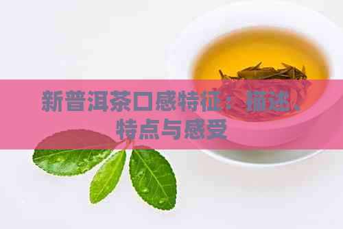 新普洱茶口感特征：描述、特点与感受