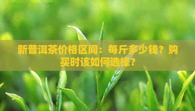 新普洱茶价格区间：每斤多少钱？购买时该如何选择？