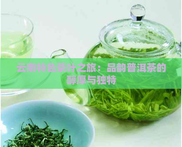 云南特色茶叶之旅：品韵普洱茶的醇厚与独特