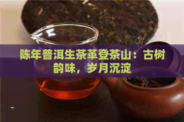 陈年普洱生茶革登茶山：古树韵味，岁月沉淀