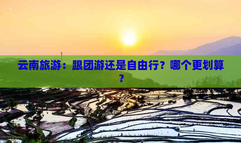 云南旅游：跟团游还是自由行？哪个更划算？