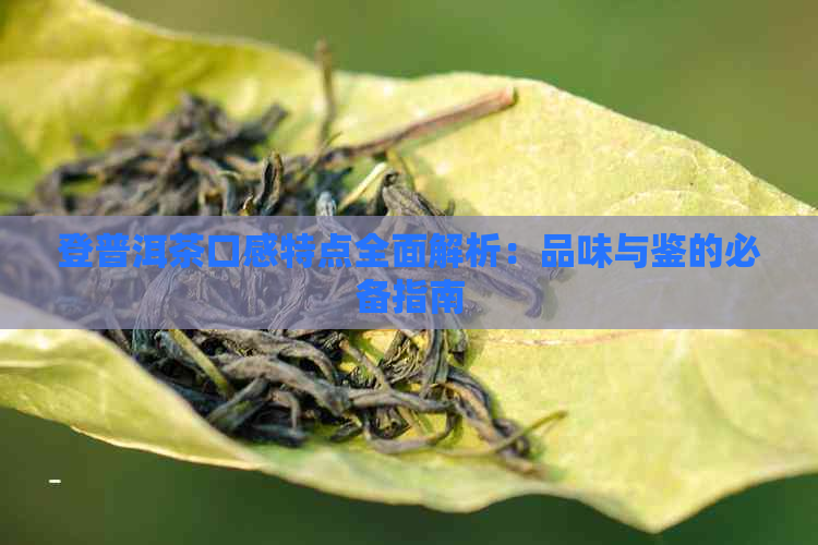 登普洱茶口感特点全面解析：品味与鉴的必备指南