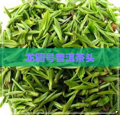 龙圆号普洱茶头