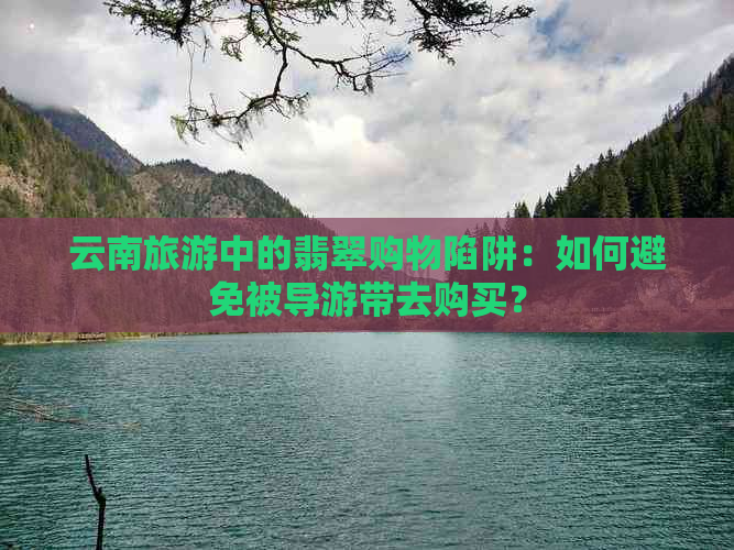 云南旅游中的翡翠购物陷阱：如何避免被导游带去购买？