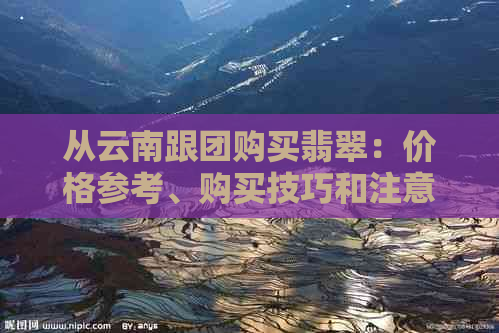 从云南跟团购买翡翠：价格参考、购买技巧和注意事项，一次解决所有疑虑