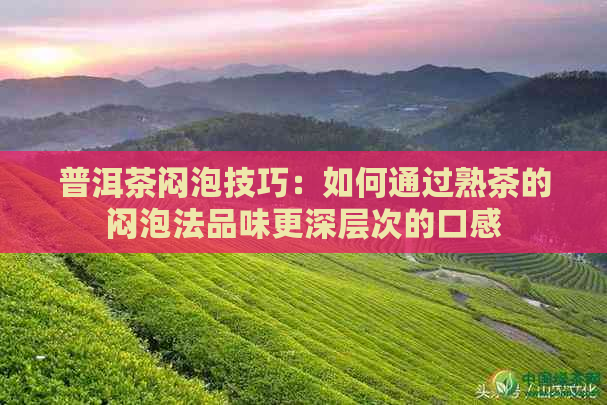 普洱茶闷泡技巧：如何通过熟茶的闷泡法品味更深层次的口感