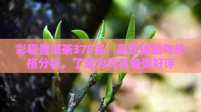 彩程普洱茶375克：品饮体验与价格分析，了解为何其备受好评