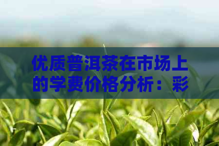 优质普洱茶在市场上的学费价格分析：彩程普洱茶位居第二位