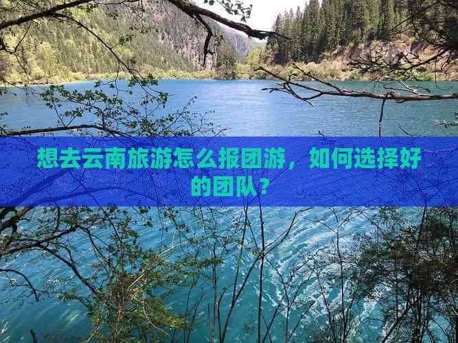 想去云南旅游怎么报团游，如何选择好的团队？