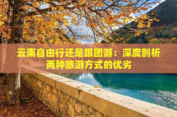 云南自由行还是跟团游：深度剖析两种旅游方式的优劣