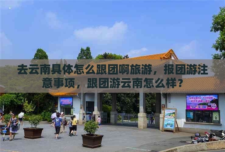 去云南具体怎么跟团啊旅游，报团游注意事项，跟团游云南怎么样？